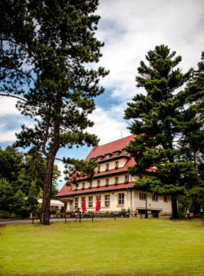 Гостиница Parkhotel Skalní město  Йичин
